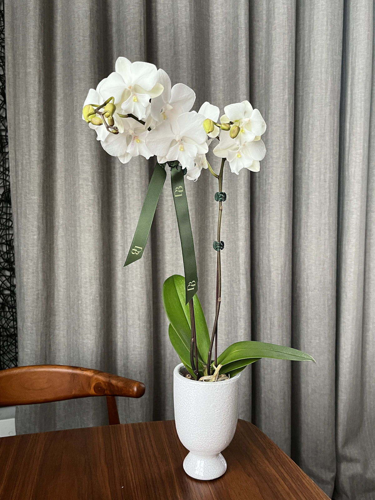 Palawan Orchid Vase Arrangement