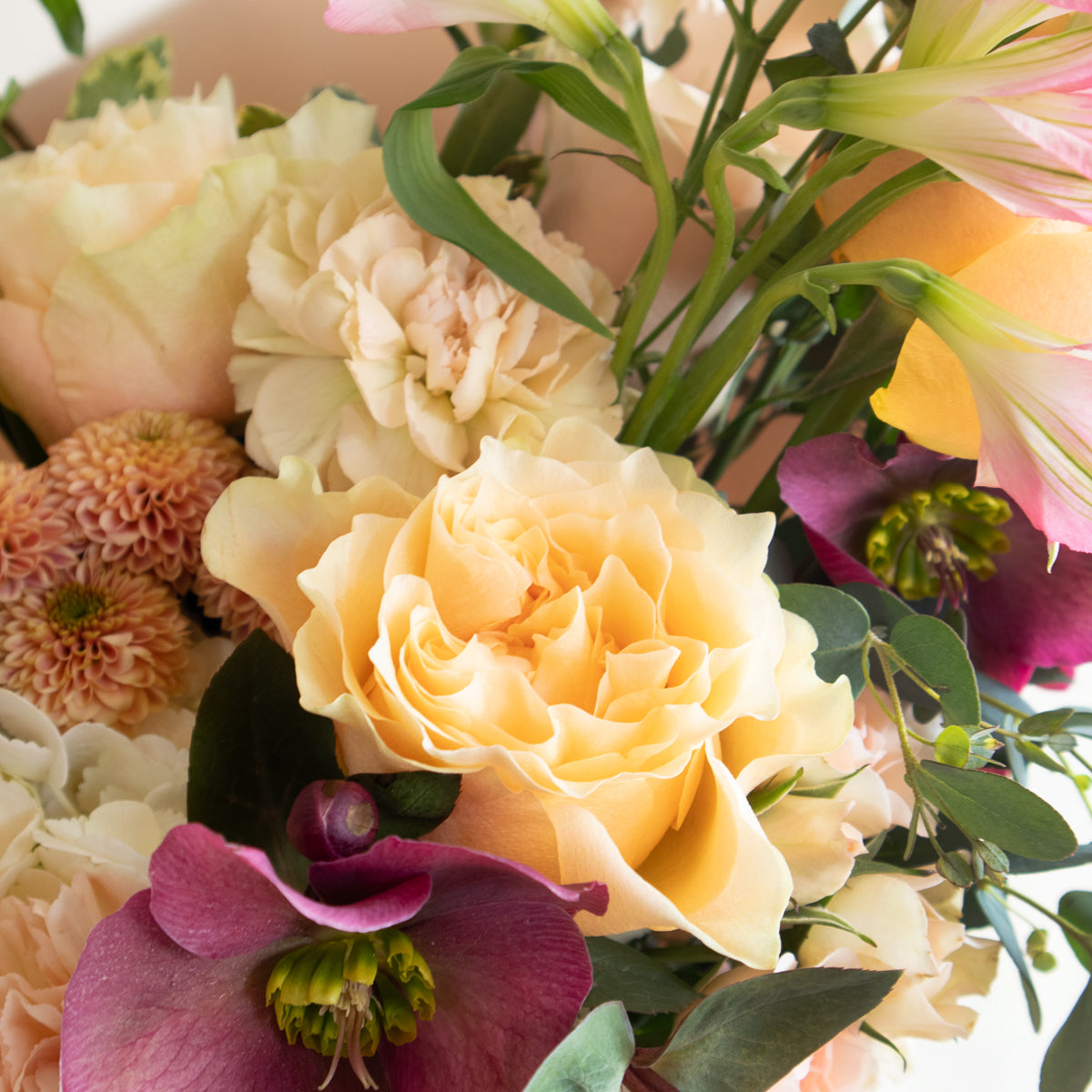 Designer Blooms Choice - Sweet and Loving