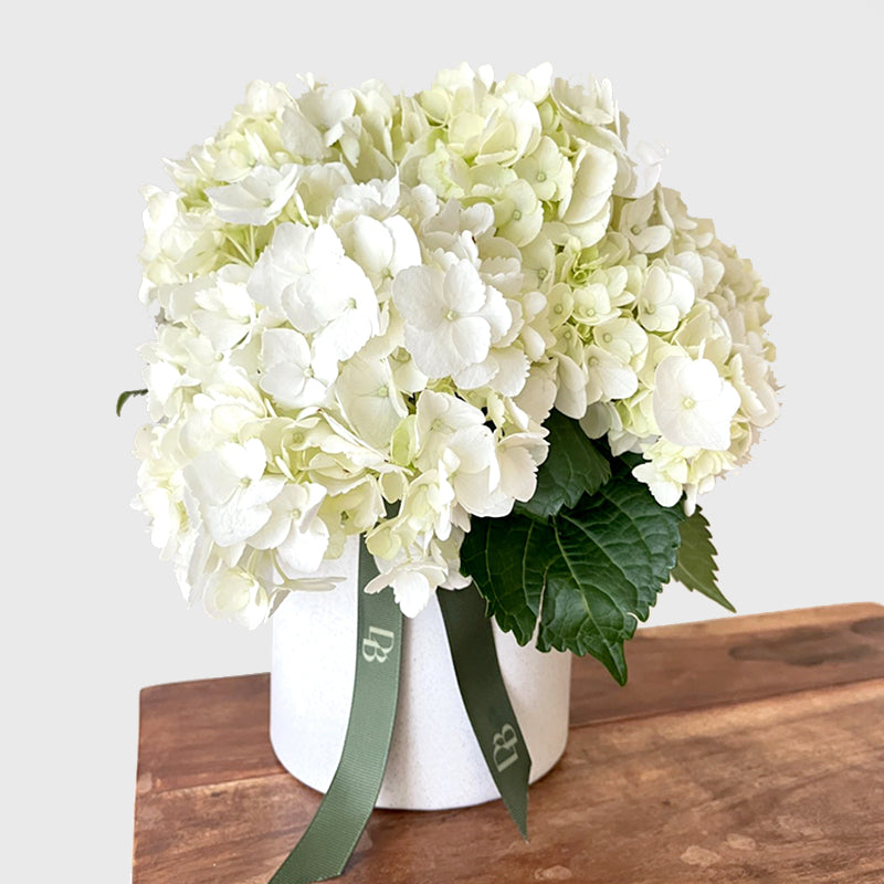 Talia Hydrangea Vase Arrangement